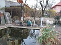 20120330_Acasa_Primavara (81)